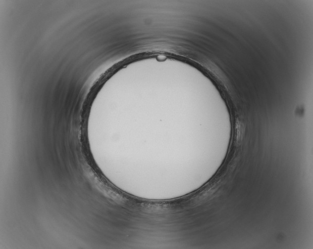 X0000112501020200909071240