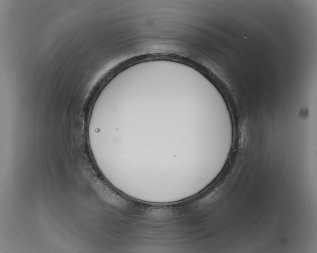 X0000112501021200909071240