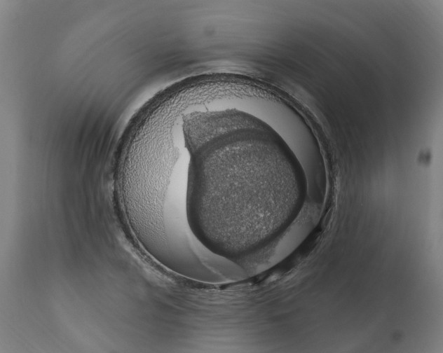 X0000112501024200909071240