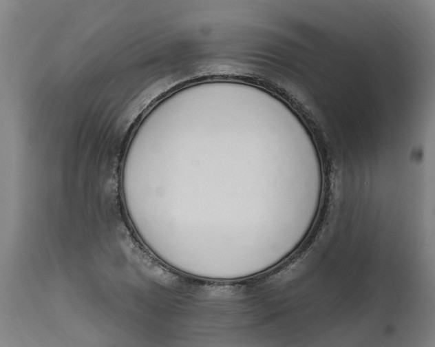 X0000112501025200909071240