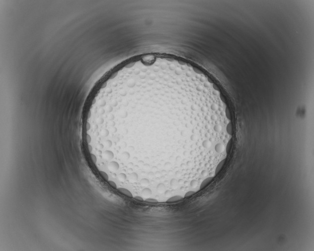 X0000112501028200909071240