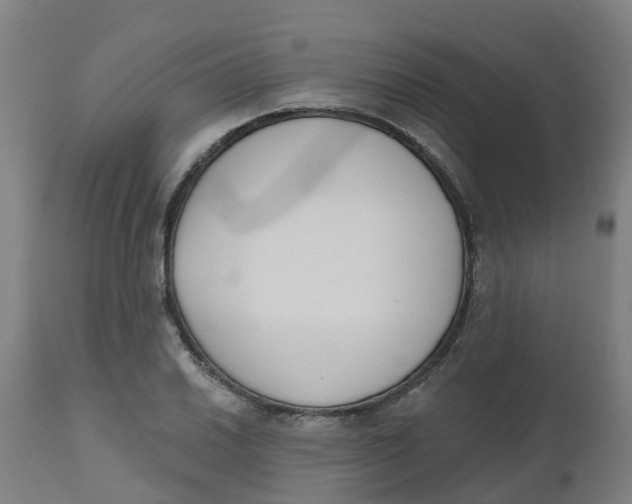 X0000112501030200909071240