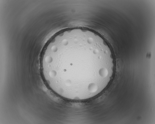 X0000112501031200909071240