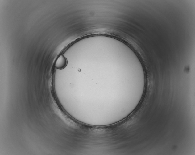 X0000112501034200909071240