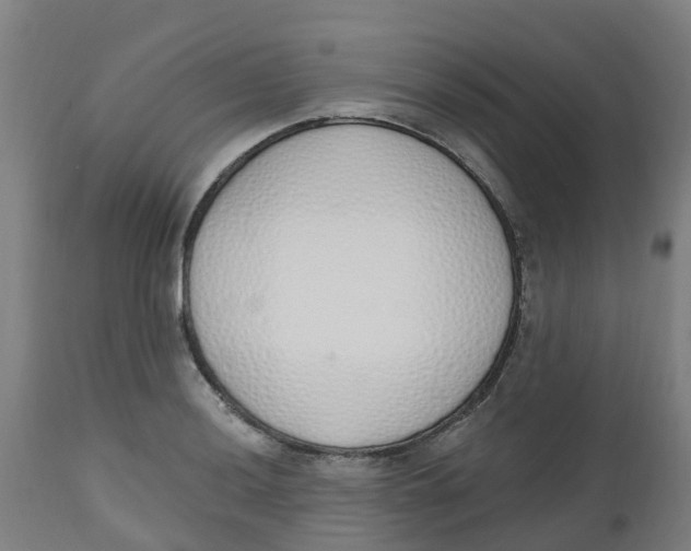 X0000112501036200909071240