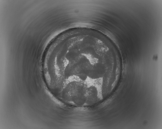 X0000112501037200909071240