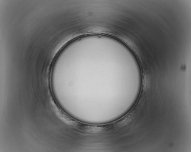 X0000112501039200909071240