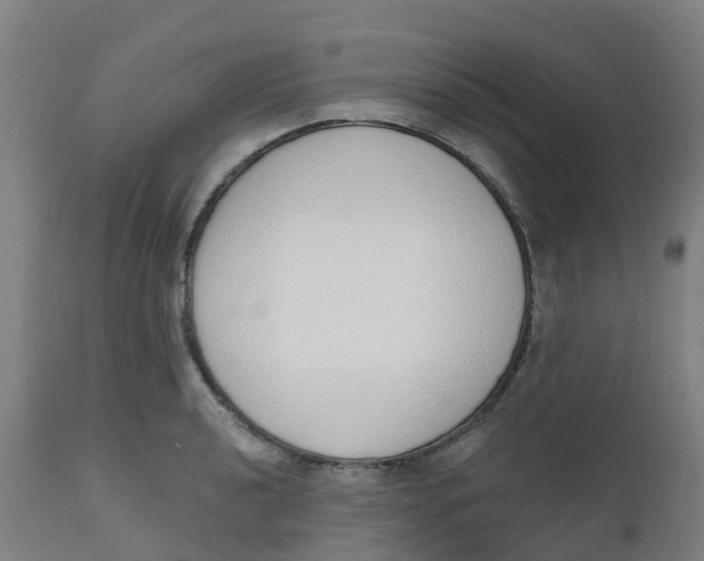 X0000112501040200909071240