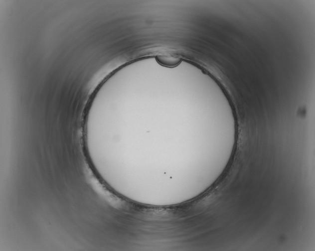 X0000112501042200909071240