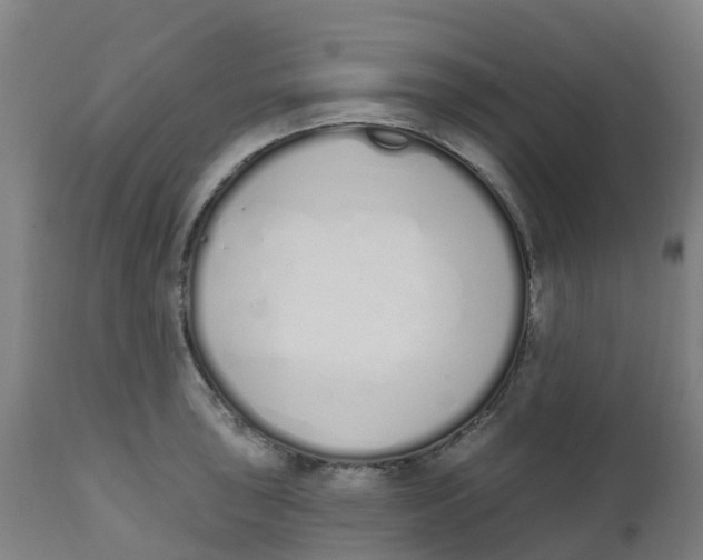 X0000112501043200909071240