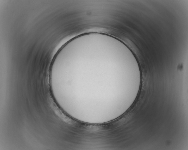 X0000112501044200909071240