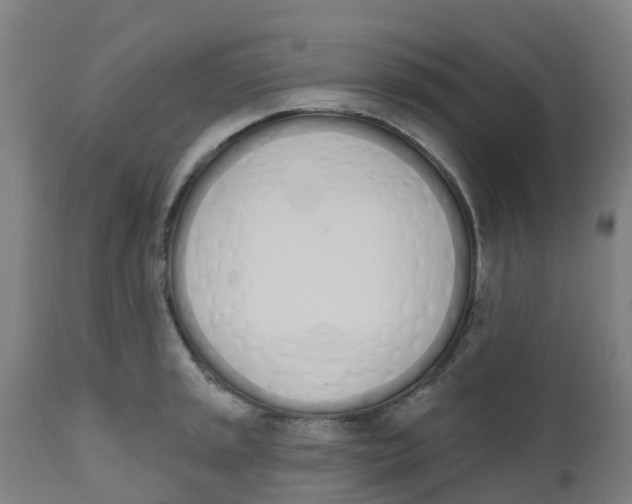 X0000112501045200909071240