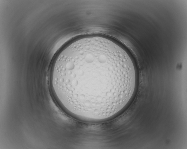 X0000112501047200909071240