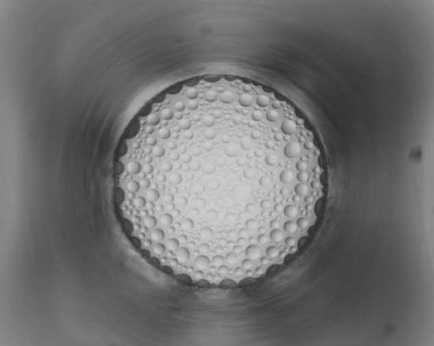 X0000112501048200909071240