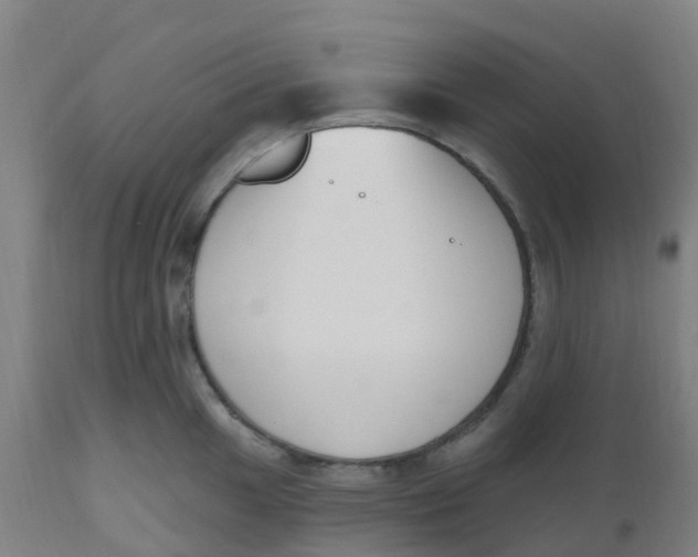 X0000112501049200909071240