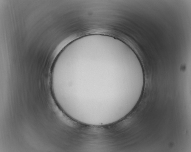 X0000112501050200909071240