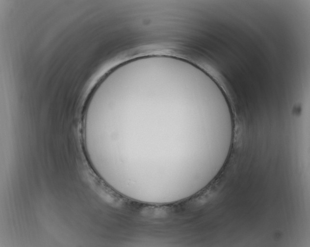 X0000112501051200909071240