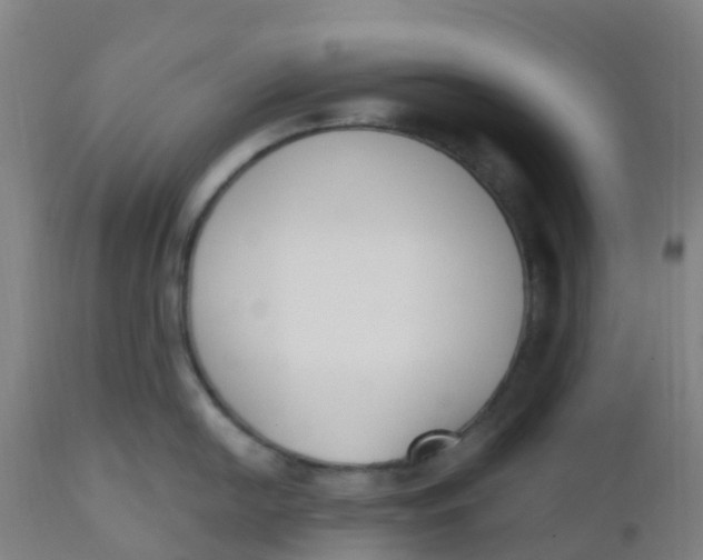 X0000112501054200909071240