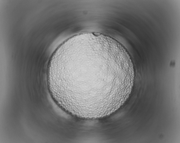 X0000112501055200909071240