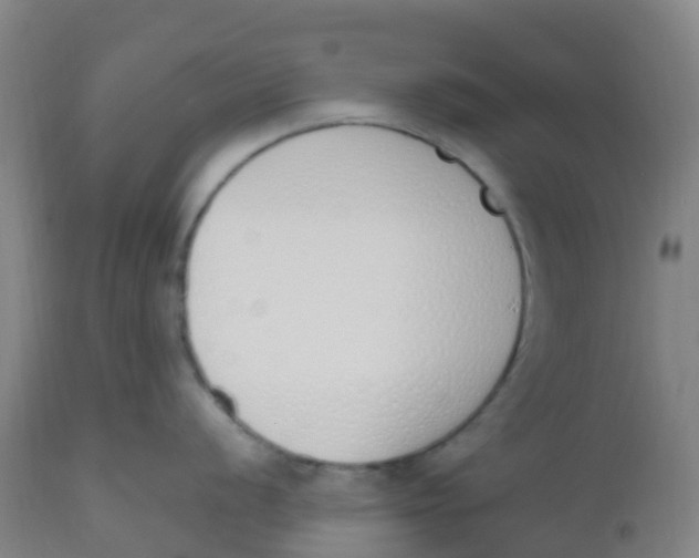 X0000112501056200909071240