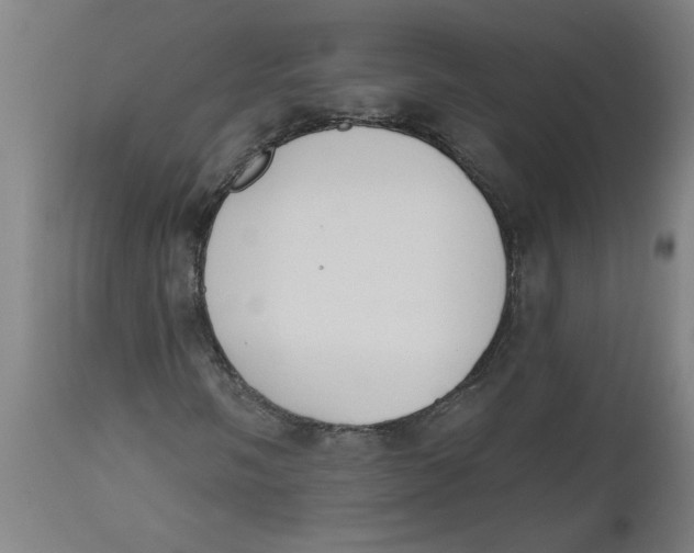 X0000112501058200909071240