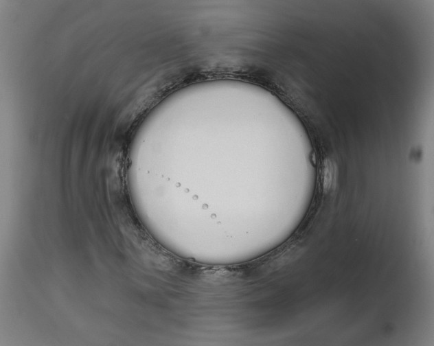 X0000112501059200909071240