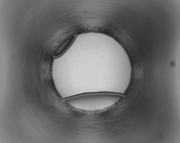 X0000112501060200909071240