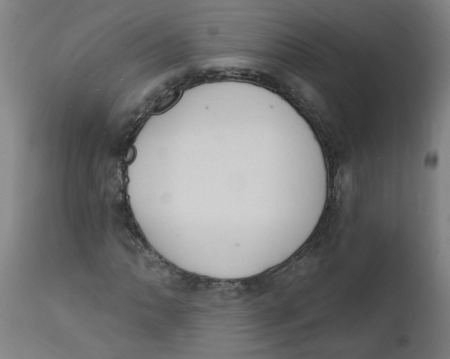 X0000112501062200909071240