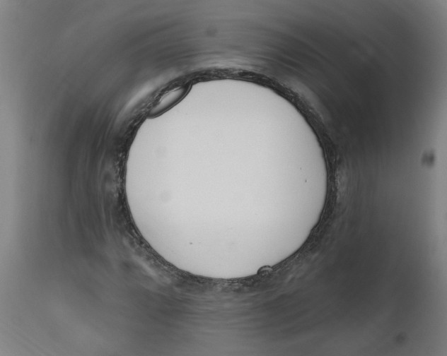 X0000112501064200909071240