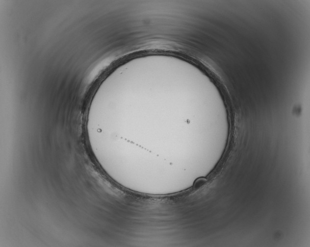 X0000112501067200909071239