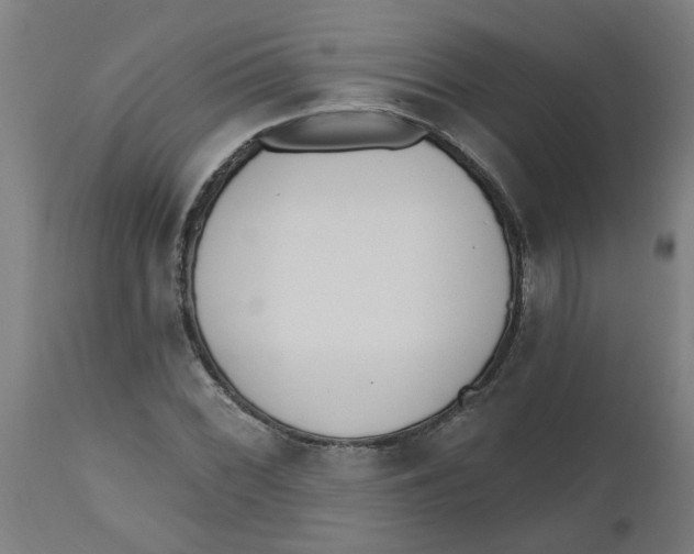 X0000112501068200909071239