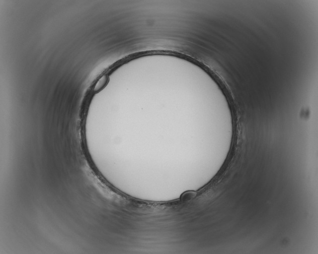 X0000112501072200909071239