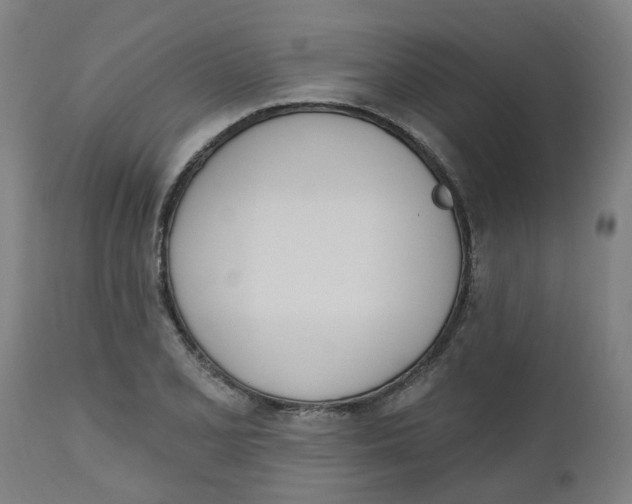 X0000112501077200909071239