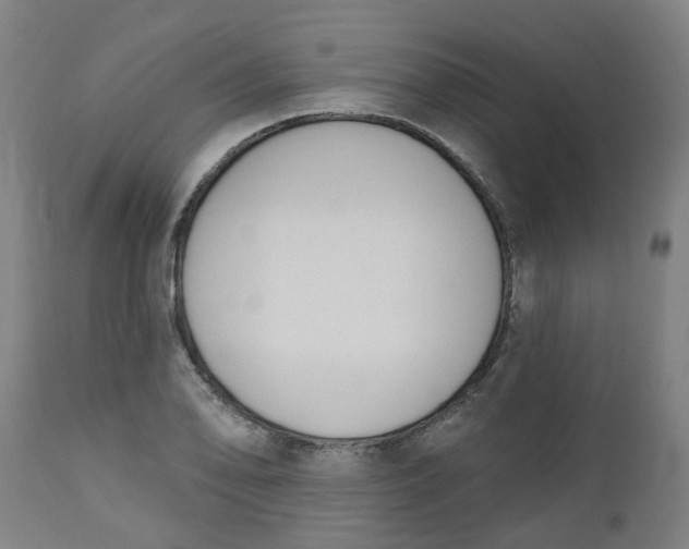 X0000112501078200909071239