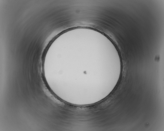 X0000112501080200909071239