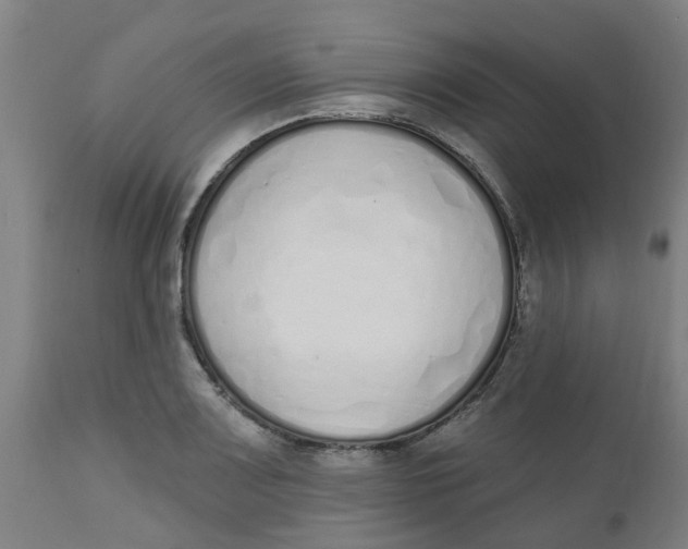 X0000112501083200909071239