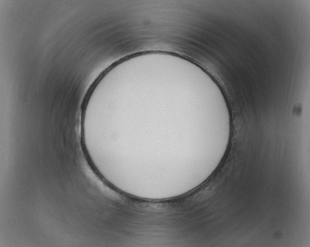 X0000112501084200909071239