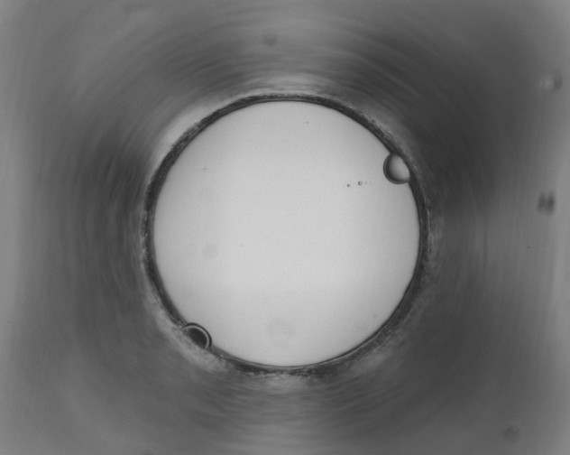 X0000112501085200909071239