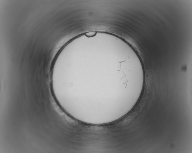 X0000112501088200909071239