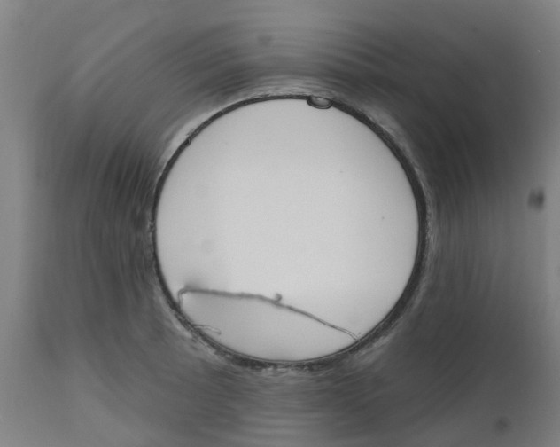 X0000112501089200909071239