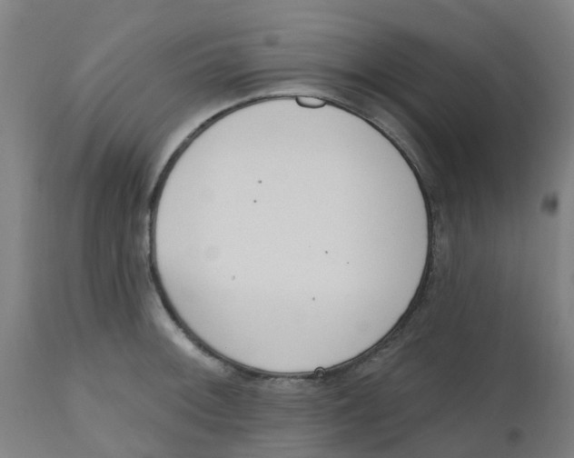 X0000112501092200909071239