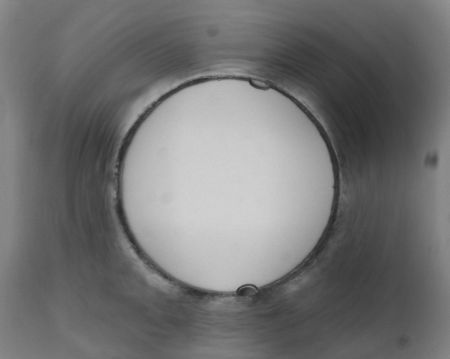 X0000112501093200909071239