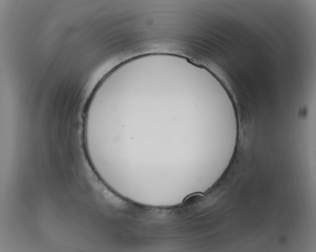 X0000112501096200909071239