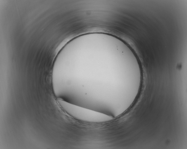 X0000112501097200909071239