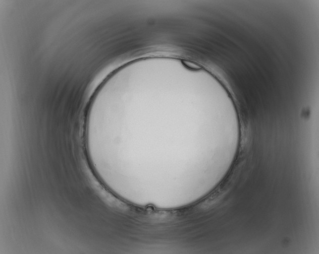 X0000112501099200909071239