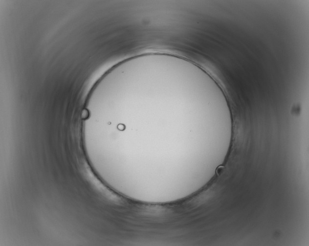 X0000112501100200909071239