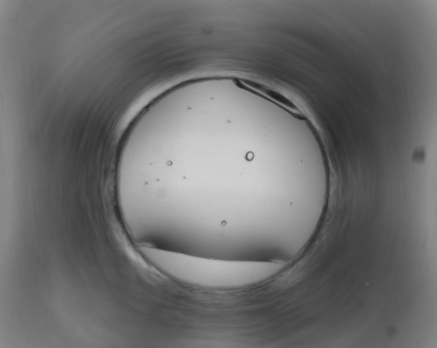 X0000112501101200909071239