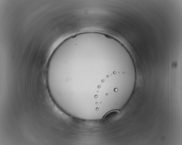 X0000112501102200909071239