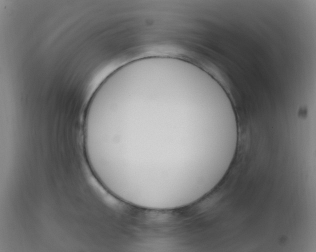 X0000112501103200909071239