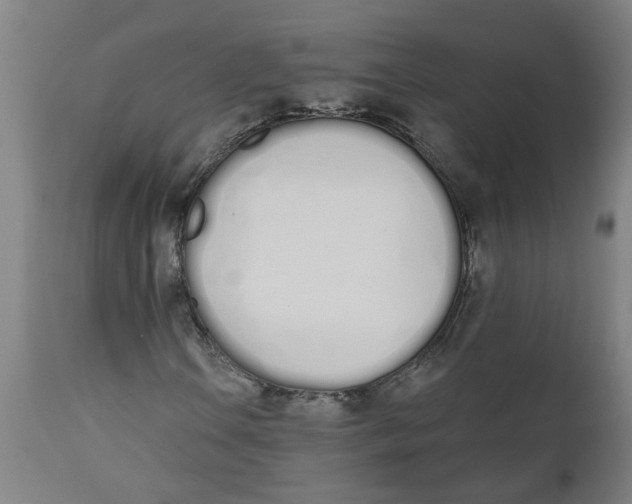 X0000112501106200909071238